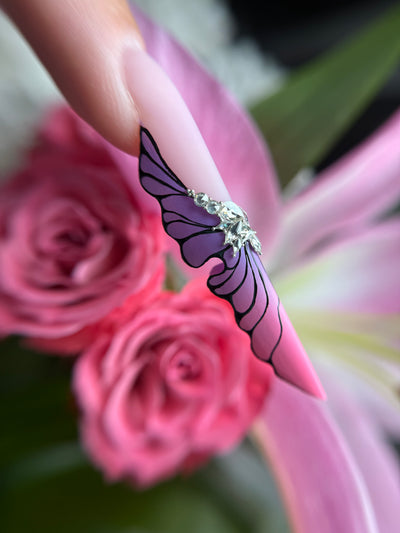 Butterfly Expert