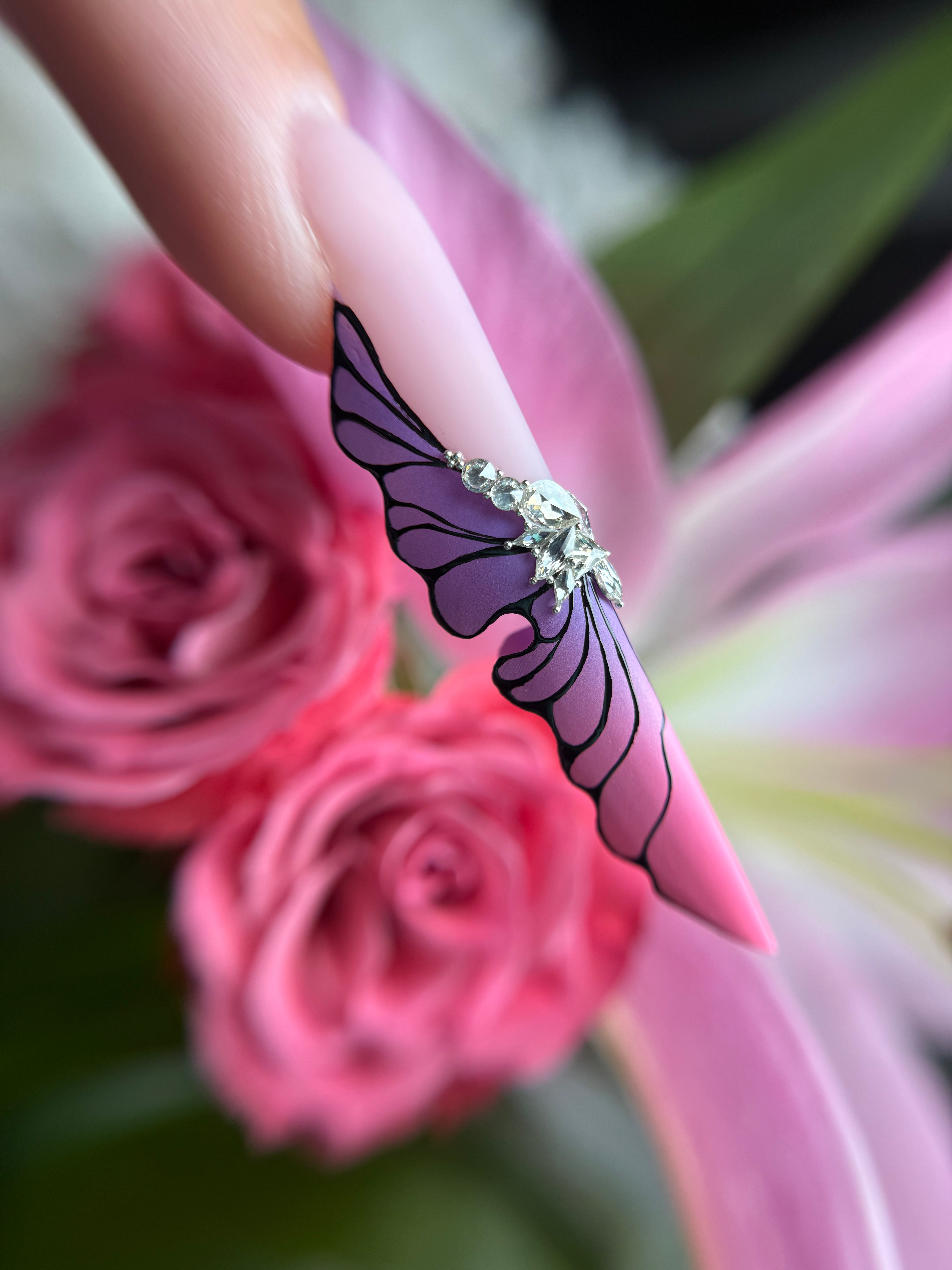 Butterfly Expert