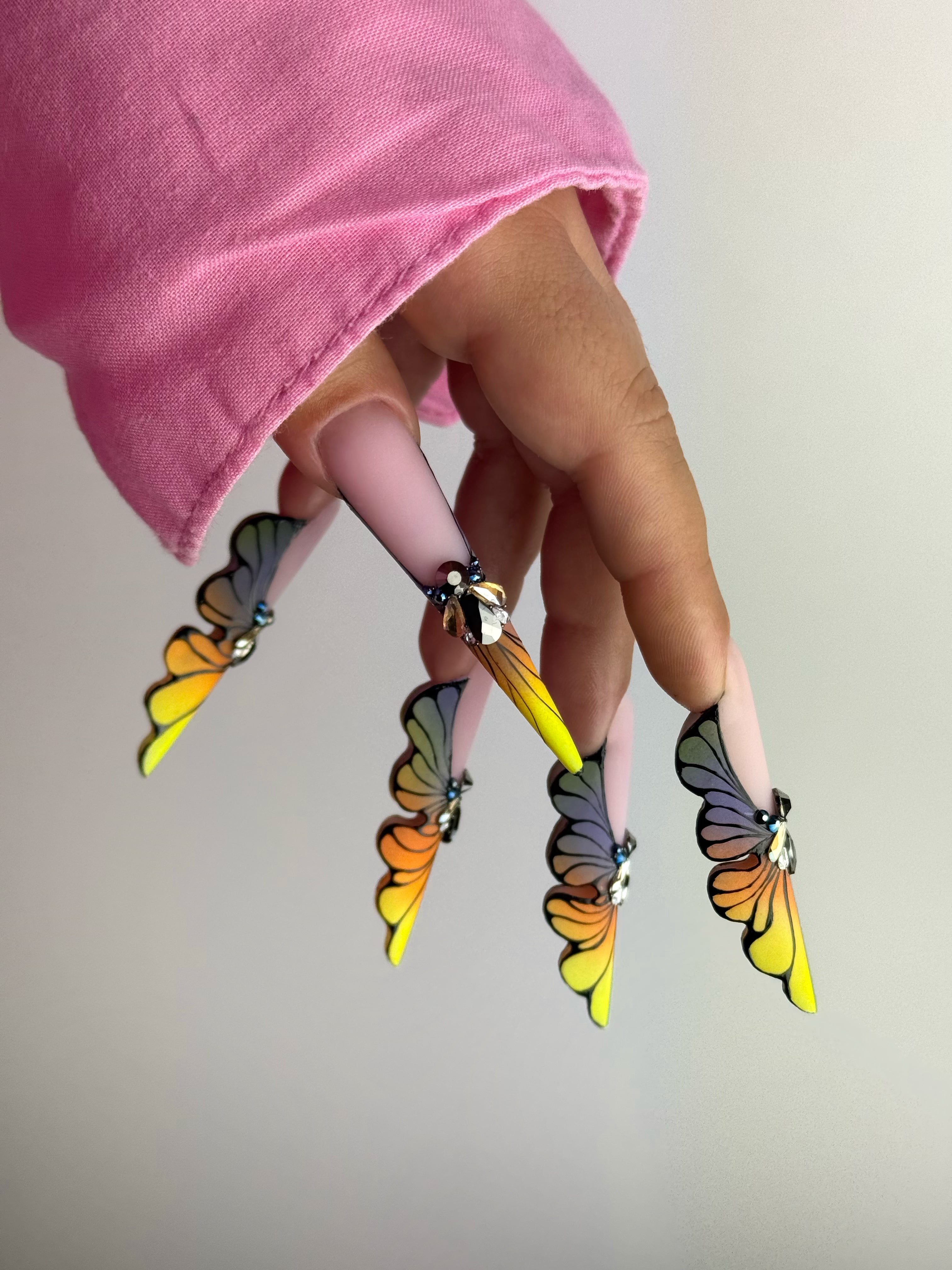 Butterfly Expert