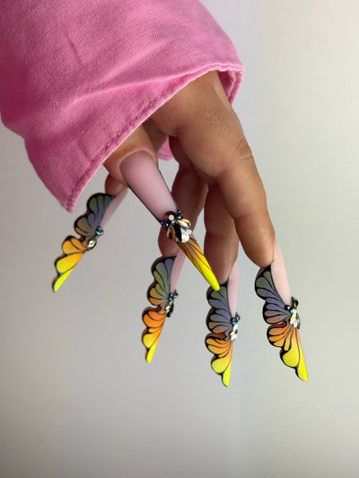 Butterfly Expert