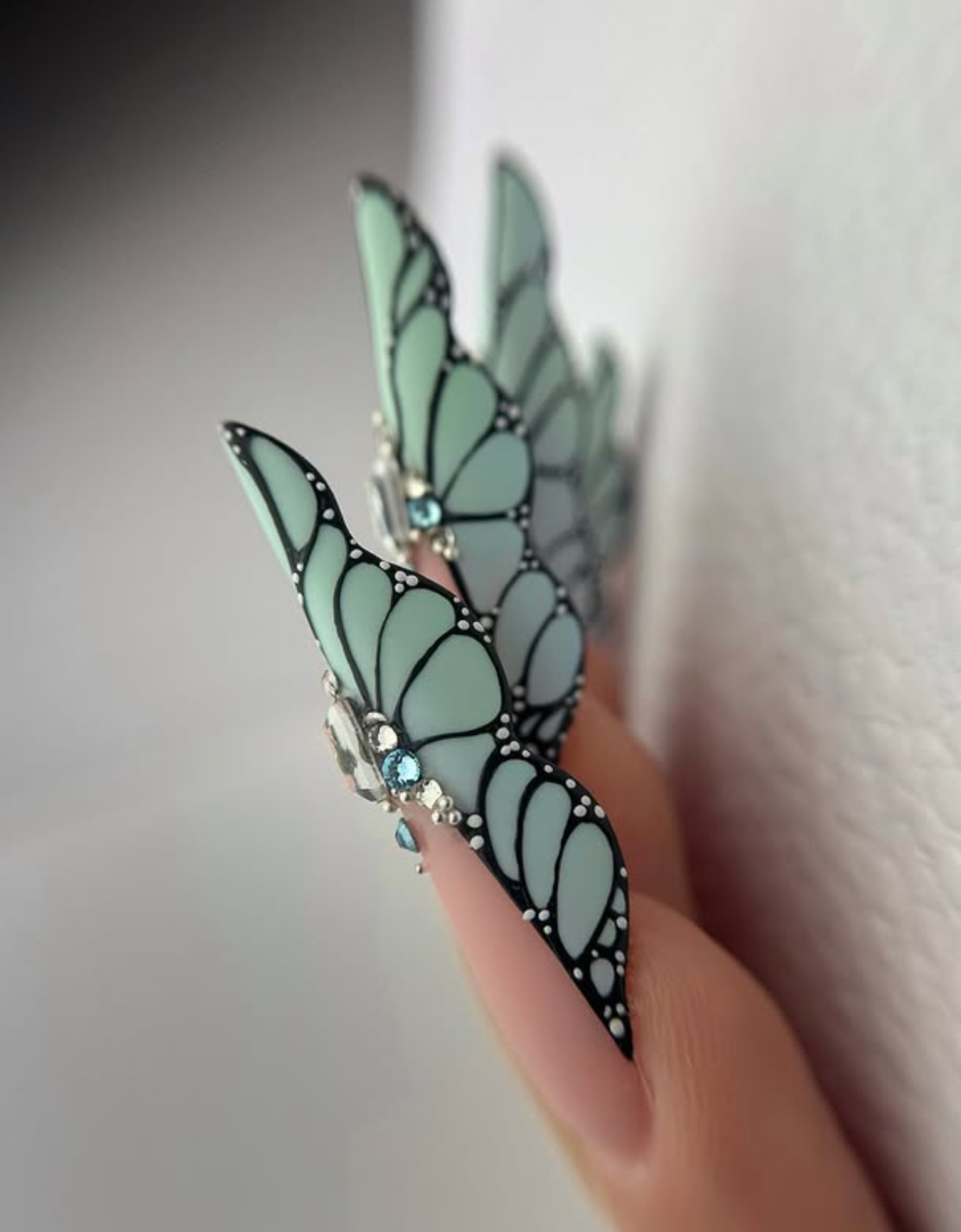 Butterfly Expert
