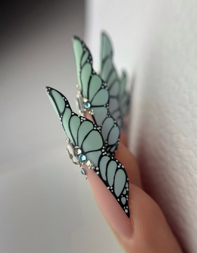 Butterfly Expert